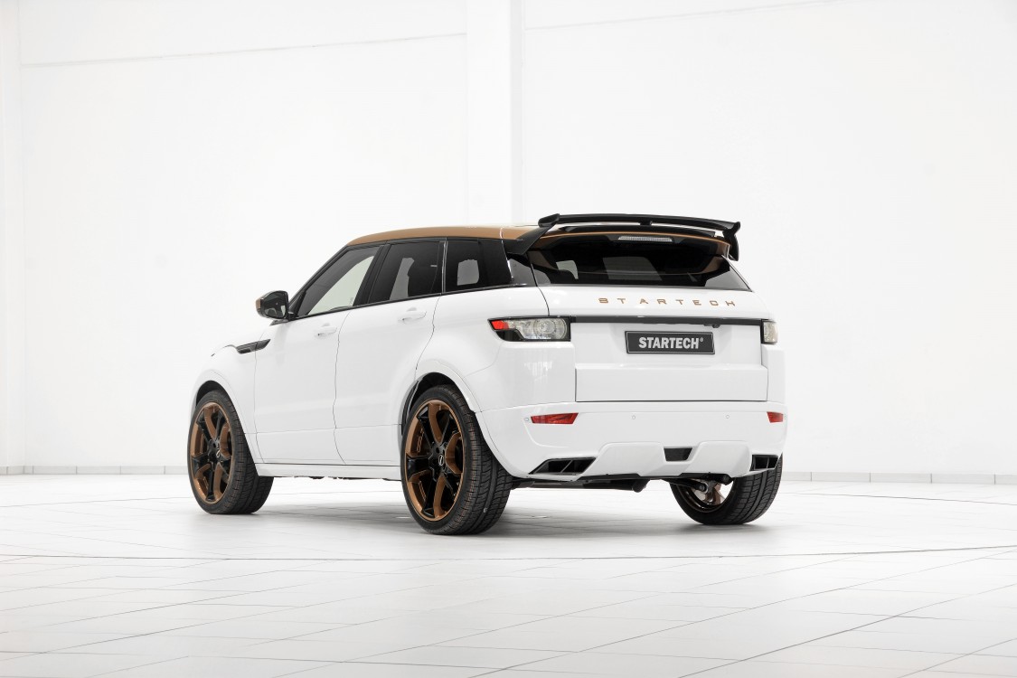 LAND ROVER range rover evoque 2011 photo 3